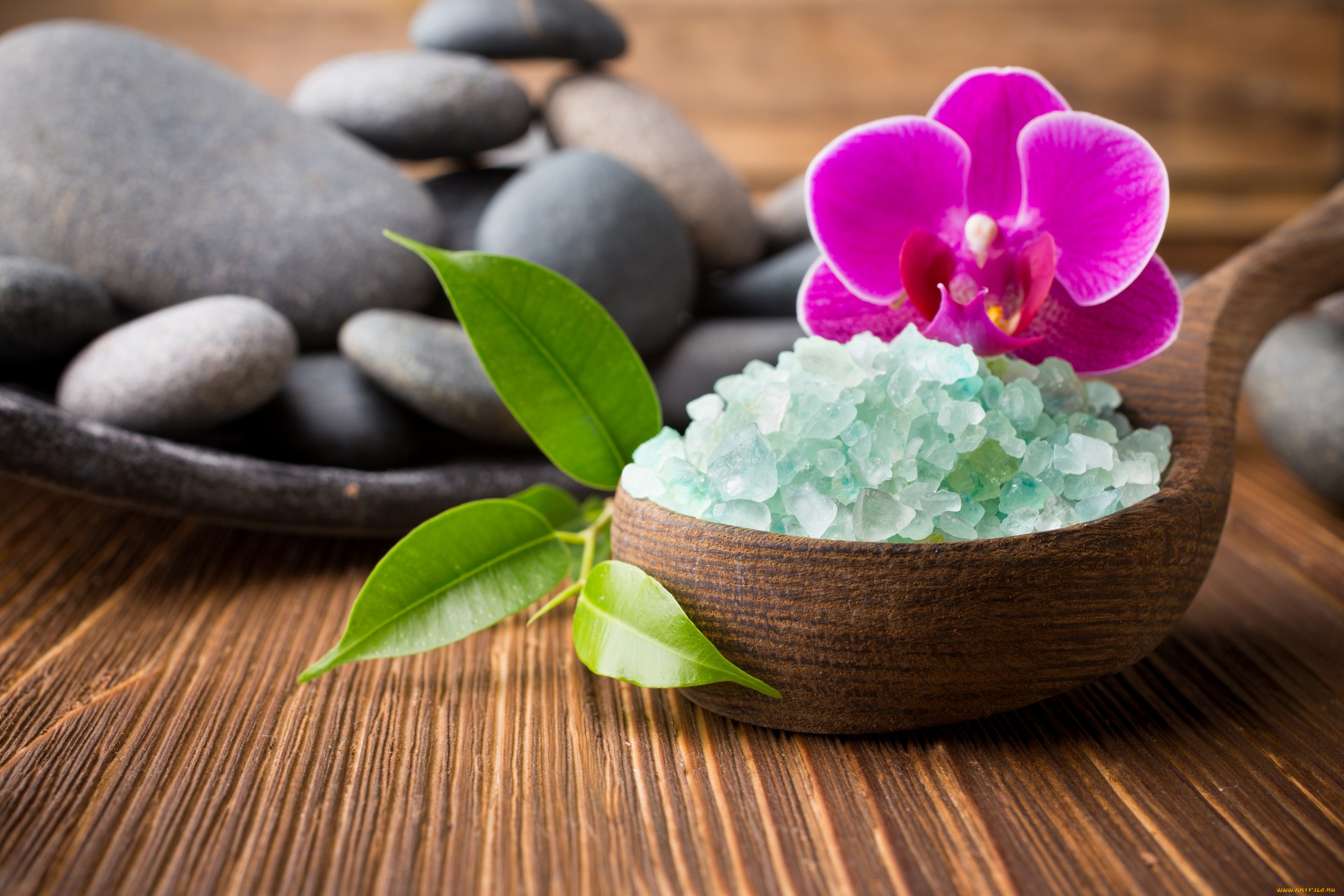 ,  ,  , salt, spa, , , , , stones, zen, orchid